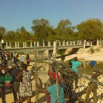 pedernales_haitianos_frontera