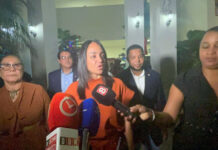 Faride Raful informa se ha ordenado despliegue de la Policía Nacional por apagón general