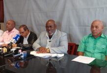 Taxis Turísticos rechazan nuevas licencias del Intrant y exigen respeto a sus áreas de trabajo