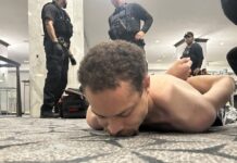 De maestro del mes a tirador del día