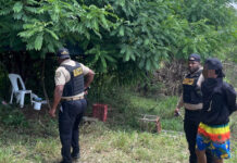 DNCD apresa en Loma de Cabrera a “Piku” y “El Wa” señalados como distribuidores de drogas