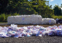 Inacif quema más de trece toneladas de drogas en primer cuatrimestre del año