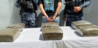 Policía ocupa seis paquetes de marihuana y arresta a un hombre en Capotillo, DN