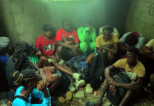 VIDEO: Ejército apresa 49 haitianos indocumentados en Dajabón