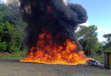 Inacif quema más de mil kilogramos de distintas drogas