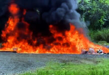 Inacif destruye más de 960 kilogramos de distintas drogas