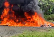 Inacif destruye más de 1,400 kilogramos de distintas drogas