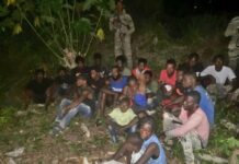 Ejército detiene a 23 haitianos indocumentados, se ocultaban en zona boscosa de Guayubín