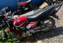 Apresan a “Oreja” presunto delincuente autor de múltiples atracos en Boca Chica