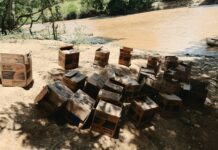 Ejército ocupa contrabando de aceite de motor introducido desde Haití a la zona de Pedro Santana