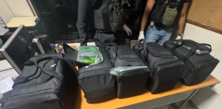 Ocupan en el AILA cinco bultos llenos de paquetes de “cocaína”, arrestan a 11 personas
