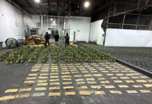 VIDEO: DNCD interviene carga de piñas con 121 láminas de cocaína en el AILA