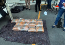Intervienen en Los Pilones de Azua alijo de 129 libras de marihuana ocultos en vehículo