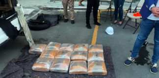 Intervienen en Los Pilones de Azua alijo de 129 libras de marihuana ocultos en vehículo