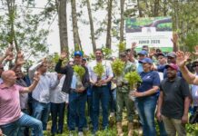 Senado realiza jornada de reforestación en la cuenca alta del río Nizao