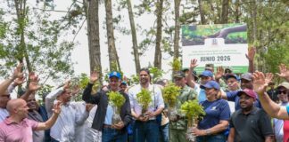 Senado realiza jornada de reforestación en la cuenca alta del río Nizao