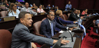 Cámara de Diputados aprueba en primera discusión modificación al nuevo Código Penal
