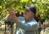 Producción agropecuaria dominicana alcanza niveles históricos en los últimos 25 años