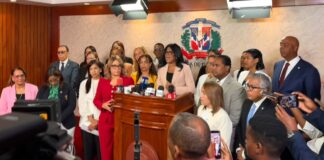 Diputados provida llaman al TC a respetar la Constitución y no extralimitarse en sus facultades