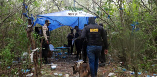 DNCD y Ministerio Público realizan 288 allanamientos y arrestan más de tres mil 560 personas en junio