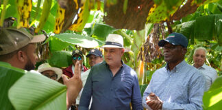 Ministerio de Agricultura inicia protocolo para reapertura de Prodevaj