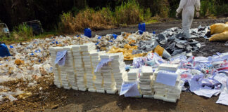 Inacif destruye más de una tonelada de drogas