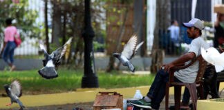 Indomet prevé una mañana mayormente soleada y aguaceros con tormentas eléctricas en la tarde