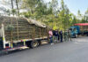 Ejército incauta cargamento de madera sin documentación legal