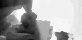 VIDEO: Policía asesina joven a quemarropa en la Cañada de Guajimía en Herrera