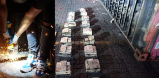 DNCD incauta 303 paquetes de cocaína ocultas en piso de contenedor en Puerto Caucedo