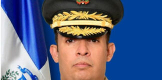 Abinader designa nuevos comandantes generales en el Ejército y Fuerza Aérea de la República Dominicana