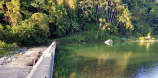Fellito Subervi apela a la conciencia ciudadana sobre el uso responsable del agua