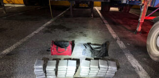 Un detenido y 42 paquetes de cocaína incautados en el Puerto Multimodal Caucedo