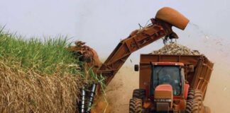 RD amplía su acceso al mercado azucarero de Estados Unidos