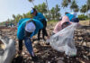 Edenorte impulsa la protección ambiental con jornada de limpieza en playa Boca de Nagua