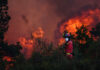 Observatorio de Áreas Protegidas alerta sobre una emergencia por incendios forestales en República Dominicana