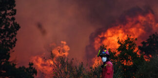 Observatorio de Áreas Protegidas alerta sobre una emergencia por incendios forestales en República Dominicana
