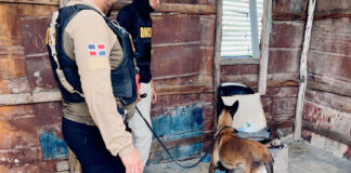 DNCD realiza operativos en SDE detiene a 36 personas y decomisa más 15,000 gramos de droga