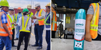 Ministerio de Agricultura incauta 66 toneladas métricas de insecticidas en el muelle de Haina