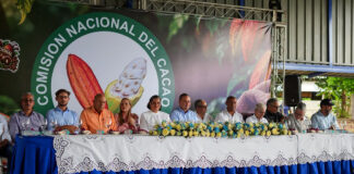 Cacao alcanza producción récord de 110 mil toneladas y exportaciones superan US$500 millones