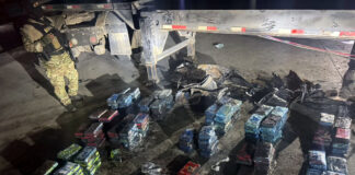 En operación conjunta incautan 228 paquetes de cocaína en Puerto de Santo Domingo y Aeropuerto de Punta Cana