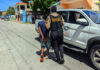 DNCD extiende operativos a San Juan y Barahona, incauta drogas y detiene 61 personas