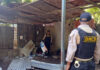 VIDEO: DNCD captura individuo con 11 registros por tráfico de drogas en Santiago